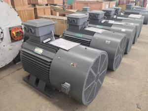 Offre Spéciale : Générateur Électrique à Turbine Hydraulique Francis 220V/380V à Énergie Libre - Product Image 6