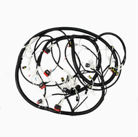 Harnais de câblage automobile scellé personnalisé DT04 8 broches/12 broches DT vers M12 OEM