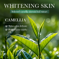 Ensemble de soins du visage anti-acné à l'arbre à thé, marque privée OEM SADOER, hydratant éclaircissant, contrôle du sébum, soin équilibrant de la peau coréenne