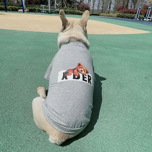 Cute Animal Print Yellow <b>T</b>-<b>Shirt</b> <b>For</b> Owner And <b>Dog</b> Cotton Leisure Wear Summer Pet Clothes Matching Set - Product Image 5