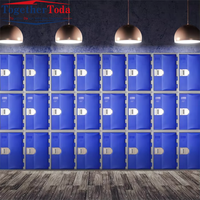 Armoire de rangement en plastique étanche et durable avec cadenas électronique/clé, structure démontable, fixation au sol pour salle de sport, bureau, usine