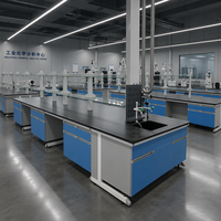 Plan de travail de laboratoire moderne en acier et bois avec évier en résine phénolique, robinet et étagère à réactifs pour l'école, l'atelier et l'hôpital