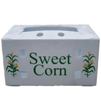 Boîte de rangement pliable et étanche en polypropylène ondulé Correx, boîte de transport pour fruits frais et asperges, conteneur de livraison