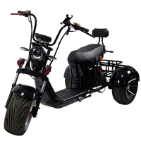 Yeni model üç tekerlekli bisiklet e-kıyıcı 2000w Golf sahası kullanımı için güçlü elektrikli Scooter