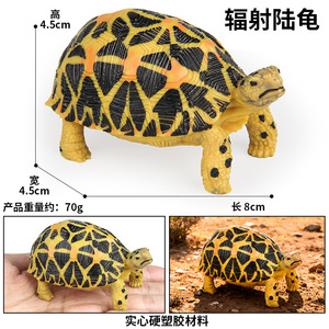 Giocattoli per bambini yxs, modelli di animali realistici in plastica solida, tartaruga, elefante, animale marino, stella, coccodrillo. - Product Image 3