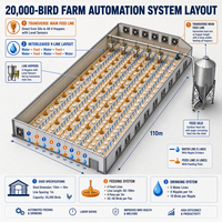 Équipement d'élevage de poulets entièrement automatique BERYS, nouveaux abreuvoirs et mangeoires en acier inoxydable, système de paniers pour une meilleure alimentation