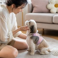Nylon-Hundegeschirr mit Schnellverschluss Verstellbares Haustiergeschirr Robuster Metall-D-Ring für Kleine Mittlere und Große Hunde
