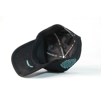 Casquette de baseball en coton de qualité supérieure, personnalisée, avec logo brodé 3D, 5 panneaux, réglable, doublée de satin, visière incurvée, strass, unisexe