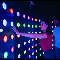Mur d'escalade LED sportif pour jeux d'équipe en salle, idéal pour parcs d'aventure (plastique)