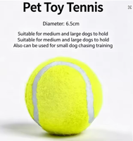 Balle pour animaux de compagnie en caoutchouc élastique, style tennis, résistante à l'usure, jouet interactif pour l'entraînement et le jeu de rapport, accessoire pour le nettoyage des dents, 6,3 cm