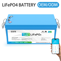 Batterie LiFePO4 Odipie 5KW 51.2V 48V 100Ah à décharge profonde avec BMS intelligent CAN RS485 IP67 pour la sauvegarde résidentielle et l'isolation hors réseau