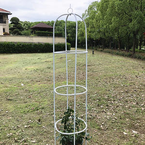 Soporte para Plantas DaringFish, Estilo Europeo, Columna para Balcón, para Plantas en Maceta, Rosas Trepadoras, Resistente a la Oxidación, Metal Recubierto de Plástico - Product Image 6