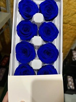 Hochwertige 4-5cm konservierte Rosen Schöne Rosen köpfe für den Abschluss Dekorative Verwendung Natürliche Blumen Muttertag Weihnachten