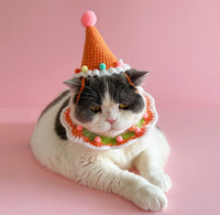 Katzen-Geburtstagshut Haustier Erster Geburtstag Party-Kostüm Atmosphäre Foto-Dekoration Hundeschal Niedliches Handgemachtes Set