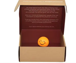 Изготовленный на заказ логотип электронной коммерции почтовая коробка с гофрированным покрытием, упаковка с вставкой для косметической упаковки