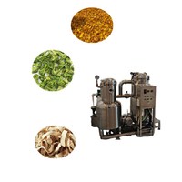 Mini Deep Fryer for Home