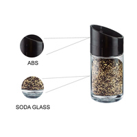 Ensemble de pots à épices en verre de cuisine de 100ml avec couvercle en plastique rotatif Verre le plus vendu