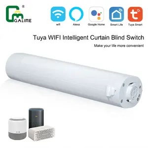Remote Control System Electric Drapery Automatic Motor Curtain Rail Track Customized Smart Home Motorized Curtain Track