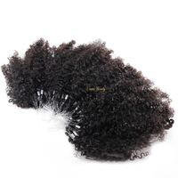 Extensions de cheveux humains naturels Vmae Virgin Remy Birmanes Double Drawn Brutes 100g Afro Coily Kinky Curly Micro Loop Nano Ring