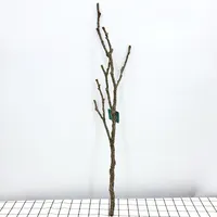 Large Plastic Tree Branch, Artificial Dried Tree Branches