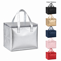 Sacs isothermes classiques écologiques haut de gamme pour plats à emporter, avec doublure en aluminium, grande capacité 30L, sac isotherme fourre-tout avec fermeture éclair