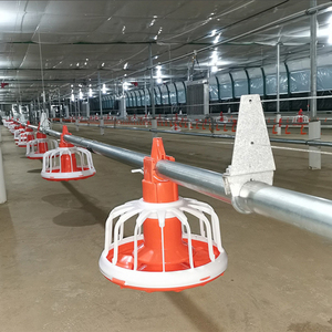 Современное оборудование для птицефермы для кормушек для животных в Намибии - Product Image 4