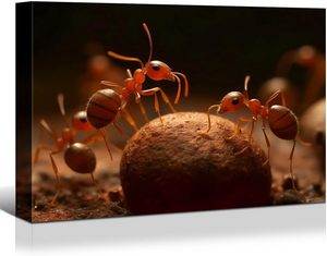 Looife vải in tường nghệ thuật kéo dài đóng khung 24 "x 18" Mèo voi hình ảnh động vật bức tranh cho phòng khách phòng ngủ nhà - Product Image 3