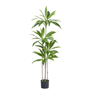 Planta Artificial de Cordyline Fruticosa en Maceta, para Decoración de Interiores, Oficina, Jardín y Hogar, Árbol Artificial - Product Image 4