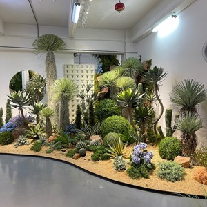 Custom High Simulation Artificial <strong>Yucca</strong> Cane Tree Faux Desert <strong>Plant</strong> 2 Stems <strong>for</strong> Hotel Lobby Showroom Indoor Landscape Decoration - Product Image 6
