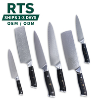 Ensemble complet de couteaux de chef de luxe japonais, couteaux de cuisine utilitaires, ensemble de couteaux de chef en acier Damas 67 couches