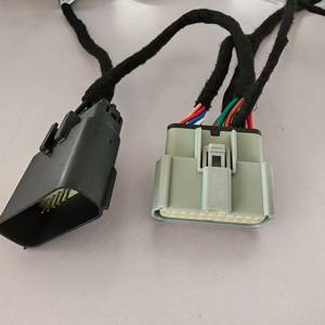 Kontrol Modülü Otomotiv Bilgisayar Kablo Demeti JST PH 2.0mm Konnektör Kalaylı Bakır İletken PTFE IP66 Dereceli Özelleştirilebilir - Product Image 1