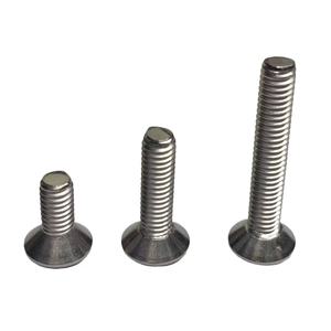 Viti di Sicurezza Torx a Testa Svasata Ovale in Acciaio Inox 304 di Alta Qualità - Product Image 2