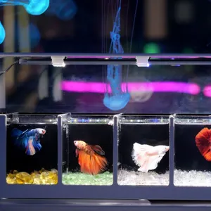 Relaxlines neueste intelligente Fischt aquarium