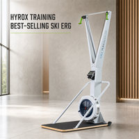 Appareil de ski ergométrique à résistance à l'air pour usage commercial, simulateur de ski cardio pour le corps entier, équipement d'entraînement aérobie pour salle de sport et studio de fitness en intérieur