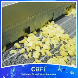 400 kg/h IQF Tunnelfroster Kartoffelchips gefrorenes Gemüse Lebensmittel Pommes Frites