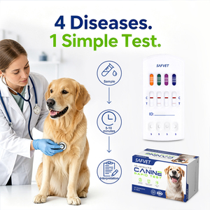 Kit de Prueba Veterinaria para Perros, Prueba Rápida de 4 Paneles, EHR ANA HW <span class=keywords><strong>LYM</strong></span>, Antígeno Canino, Detección de Enfermedades Transmisoras por Garrapatas, Venta al Por Mayor - Product Image 4