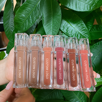 Teinte à lèvres hydratante et nourrissante effet verre brillant avec logo personnalisé, teinte à lèvres juteuse, gloss à lèvres waterproof, fabricant OEM