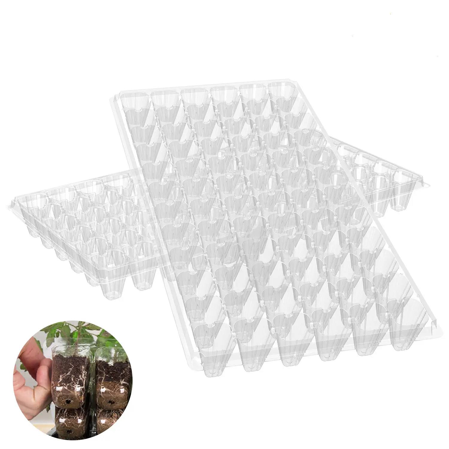 540X280Mm Plastik PET Bahan Baku 72 Sel Plug Benih Tumbuh Tray dengan Lubang