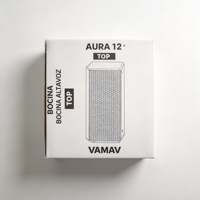 [VAMAV AURA 12] Enceinte colonne active 500W RMS, amplification DSP, haut-parleur 12'', système de sonorisation professionnel pour scène, concerts, DJ et spectacles en direct
