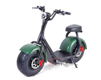 Brésil Citycoco Scooter Citycoco Batterie Citycoco Chargeur Citycoco 1000W 60v 12ah Batterie Moto Électrique