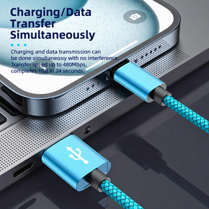 Cavo Intrecciato in Nylon da USB-C a USB-C 60W, Ricarica Rapida 2A, Trasferimento Dati 480Mbps, Varie Lunghezze e Colori, Personalizzazione Disponibile - Product Image 3