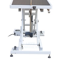 Table de toilettage élévatrice électrique pliable spéciale pour animaux de compagnie