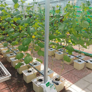 سعر منخفض نفق 200 Micron بلاستيك Po فيلم الدفيئة المستخدمة في الخس الطماطم نظام الزراعة المائية السعر - Product Image 2