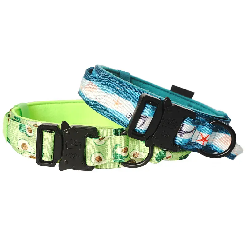 Designer dog collars