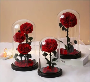 Rose Eterne Preservate Incantate in Cupola di Vetro con LED - Product Image 4