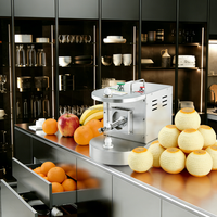 Automatische fruitenschilmachine van roestvrij staal, tafelmodel, voor appels, peren, mandarijnen, sinaasappelschillen, commerciële sapcentrifuge