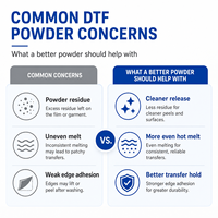 Poudre d'impression DTF thermofusible en gros, matériau TPU pour impression numérique à jet d'encre sur textiles coton/polyester, sac de 1 kg