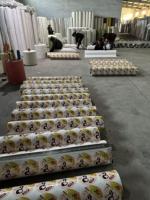 Grillage de volière professionnel bon marché de la Chine/panneau de grillage soudé galvanisé 2x2/grillage en acier de calibre 20