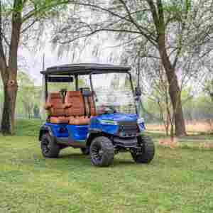 Produits les plus vendus : Chariot de golf quatre places à batterie, sans entretien, avec support après-vente - Product Image 2