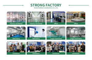 OEM/ODM di aceto di sidro di mele con vitamina madre <span class=keywords><strong>B12</strong></span> e folato vegano senza glutine 60 Gummies per adulti donne incinte sicure - Product Image 6